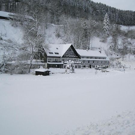 Tommes Gaestehaus Zur Muehle Schmallenberg Exterior foto