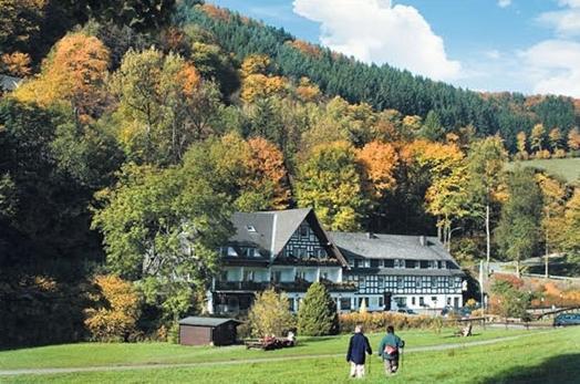 Tommes Gaestehaus Zur Muehle Schmallenberg Exterior foto