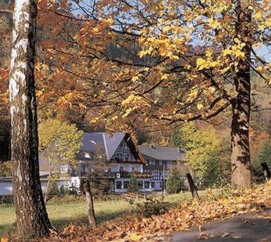 Tommes Gaestehaus Zur Muehle Schmallenberg Exterior foto